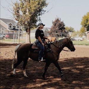 Meet your Posher, Carly